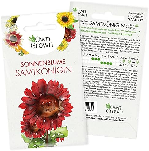 Nojus Blumensamen Set - 15 Sorten Garten Blumen Saatgut Für Bunte Blumenbeete