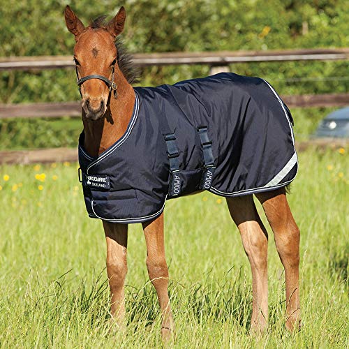 Amigo Foal Turnout Blanket 60 Navy