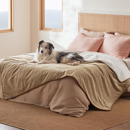 Image of Bedsure Waterproof Blanket for Bed - Sherpa Fleece Waterproof Dog Blankets for Large Dogs, Pet Blankets for Bed /Couch /Dog Crate, Soft Plush Reversible Furniture Protector, Twin Size, 80 inchx60 inch, Camel
