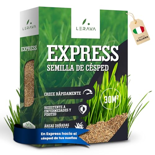 LERAVA® EXPRESS Semillas cesped [RÁPIDO] - 30m² - Semillas cesped rapido y resistente - ideal para jardín y sombra - semilla cesped natural - alta tolerancia al calor
