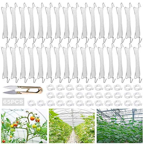 TUIBEIDAMAI Tomatenhaken mit Schnur 32 Stück Tomatenhaken Metall mit 32 Pflanzenschnalle und 15m Seil Garden Tomato Hooks für Hängende Tomaten und Gurken.