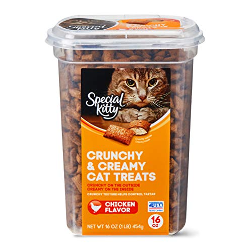 Special Kitty Crunchy & Creamy Cat Treats, Chicken Flavor, 16 oz