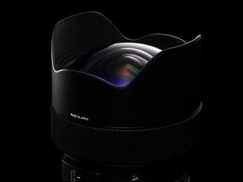 Amazon.com : Sigma 14-24mm F2.8 DG HSM, Black (212955) for