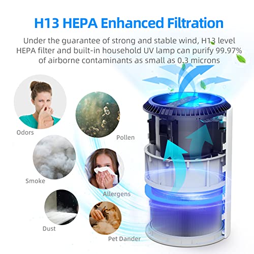 Pomoron Air Purifiers, Air Purifier For Bedroom Hepa Air Filter For Smoke Pollen Dander Hair 22Db Quiet Air Cleaner For Home, Bedroom, Living Room, Kitchen - White #TOP1