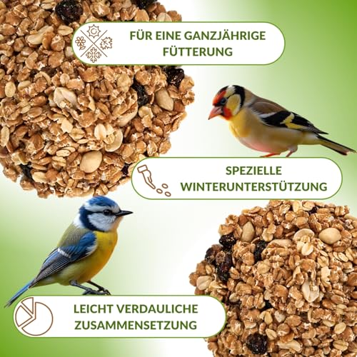 Fettfutter Vogelfutter für Wildvögel – Ganzjähriges Mischfutter mit hohem Fettgehalt, ideales Streufutter für 4 Jahreszeiten (25 kg)