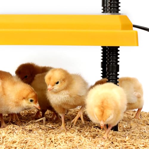 NesCozy Brooder Heating Plate for Chicks Adjustable: with Bonus 10x10 Warmer with Easy- Cleaning Plate 15W Poultry Coop Heater for 12 Baby Chick - Thumbnail 7