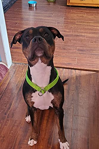 Mycicy Reflective Dog Choke Collar, Soft Nylon Training Slip Collar For Dogs (5/8" W X 15.5" L, Black) #TOP5