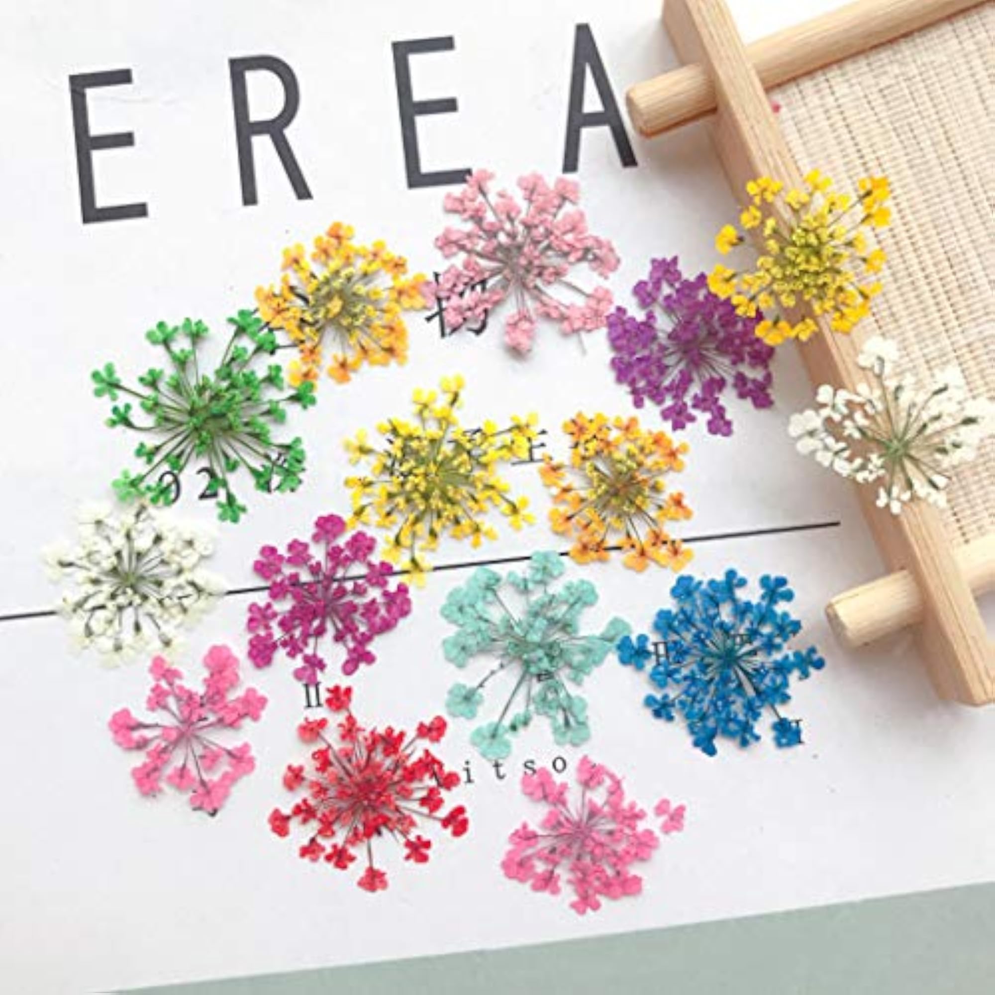 60PCS Real Dried Flower Creative DIY Pressed Flower Kit