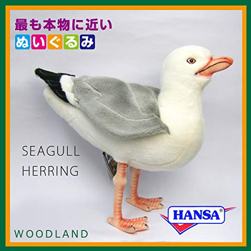 Amazon.co.jp: HANSA ハンサ ぬいぐるみ 7259 カモメ 12 SEAGULL