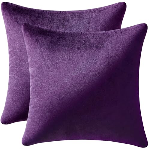 MIULEE Pack of 2 Velvet Soft Solid Decorative Square Throw Pillow Covers Set Cushion Case for Sofa Bedroom Car 16 x 16 Inch 40 x 40 Cm Eggplant Purple