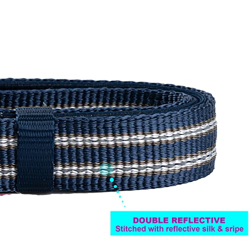 Petiry Reflective Nylon Dog Collar With Soft And Comfortable Neoprene Padding,Adjustable For Medium Dogs.(Neck 13"-18.9",Blue) #TOP2