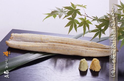 浜名湖山吹　うなぎの真空長白焼き(中)　2本
