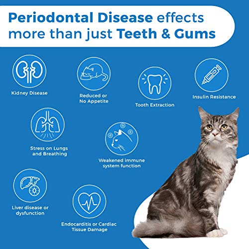 Oral Health for Cats Dental Treatment - Natural Stomatitis and Gingivitis Solution is Highly Effective for Feline Mouth Issues Including Tartar and Inflammed Gums - Easy to Use (450 pills)