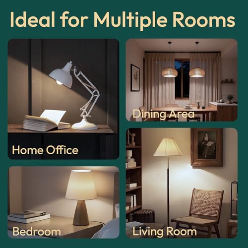 Image of ALAMPEVER 3 Way Light Bulbs 2 Pack, 50 /100 /150W Equivalent, Bright A21 LED Light Bulb, 5000K Daylight White, 800 /1600 /2200LM, 5 /9 /15W, E26 Base, Non-Dimmable, Ideal for Living Room, Garage, Basement