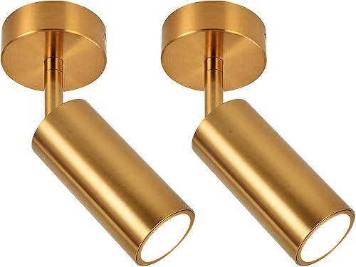 Meng Lai - Lámpara de techo regulable con iluminación de pista, 2 unidades, focos de techo, ajuste de ángulo interior, lámpara de pared moderna para