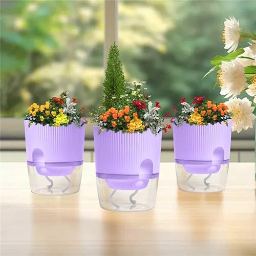 3 Pack - 5.5 Inch Self Watering Planter Pots for