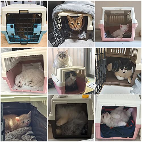 Upit Pet Carrier - Airline Approved Dog Carrier With 2-Way Door - Cat Carrier With Handle & 4 Sides Ventilation - Plastic Dog Kennel For Traveling - For Small Dogs & Cats Up To 15 Lbs. [Brown] #TOP4