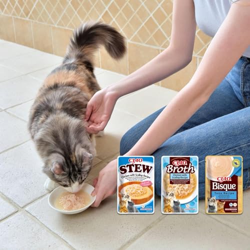 INABA Ciao Broth Katzenfutter Nass 88% Feuchtigkeit und Vitamin E, Premium Katzensuppe mit Huhn & Lachs 40 g (1er Pack), 100% natürliches Fleisch, Getreidefrei, Zuckerfrei