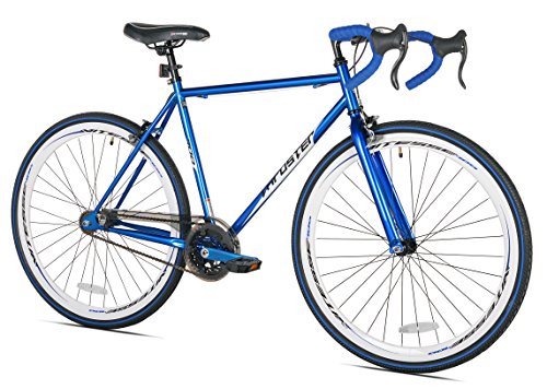 fixie thruster 700c bike