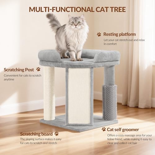 Kratzbaum Klein, 48 cm Hoher Kleiner Kratzbaum mit Kratzsäulen, Katzenbaum Klein, Großer Fünfeckiger Plattform Oben, Einteiligem Kratzbrett, Fellpflegepfosten, Hellgrau FPMS001FG1