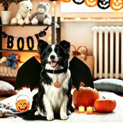Costume Halloween Chien,Ailes Chauve Souris Chien,Deguisement Chiens Halloween,Costume Chauve Souris Aile pour Chiens pour la Décoration de Fête d’Halloween S – vue 6