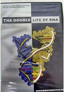 RNA: The Double Life of RNA