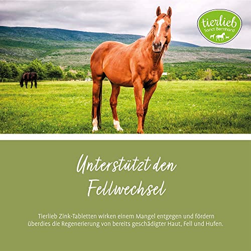 tierlieb Zink-Tabletten für Pferde, für Fell, Haut & Hufe, 500 Tabletten