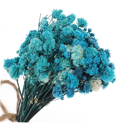 Mini Ramilletes de Flores Secas para Decoración y Fotografía miniatura 4