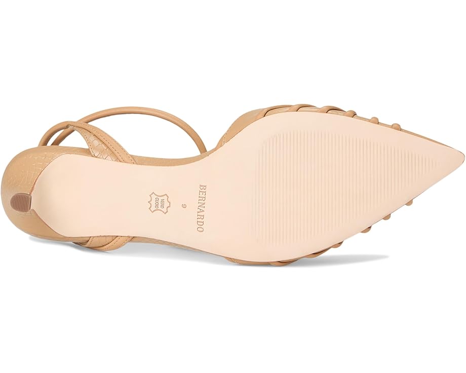 Bernardo Minu - Bottom View