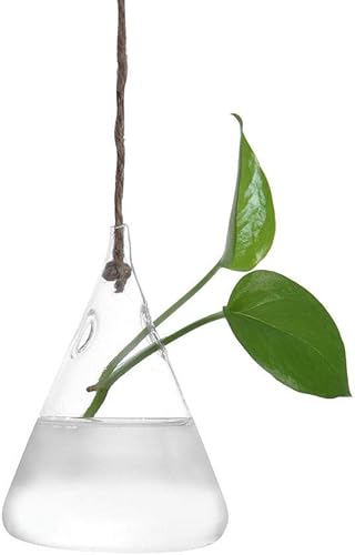 FRAKYEN Jarrón hidropónico de cristal, maceta para decoración del hogar