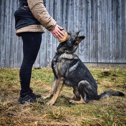 Non-Stop Dogwear Solides verstellbares Halsband WD, Olivgrün