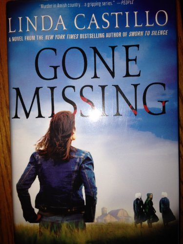 Gone Missing view 2
