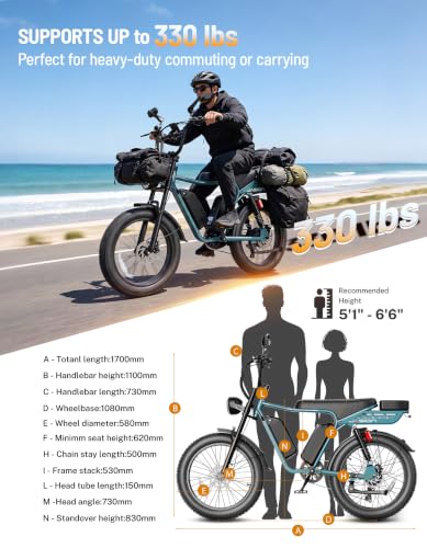 Jasion RetroVolt Max Dual Battery E-Bike