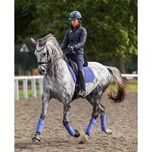 LeMieux Carré De Selle De Dressage – Daim Doux, Doublure Bambou, Protection Garrot, Finitions Luxueuses
