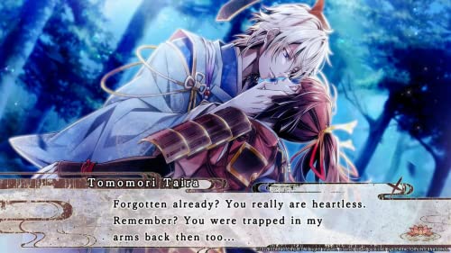 birushana rising flower of genpei limited edition - nintendo switch