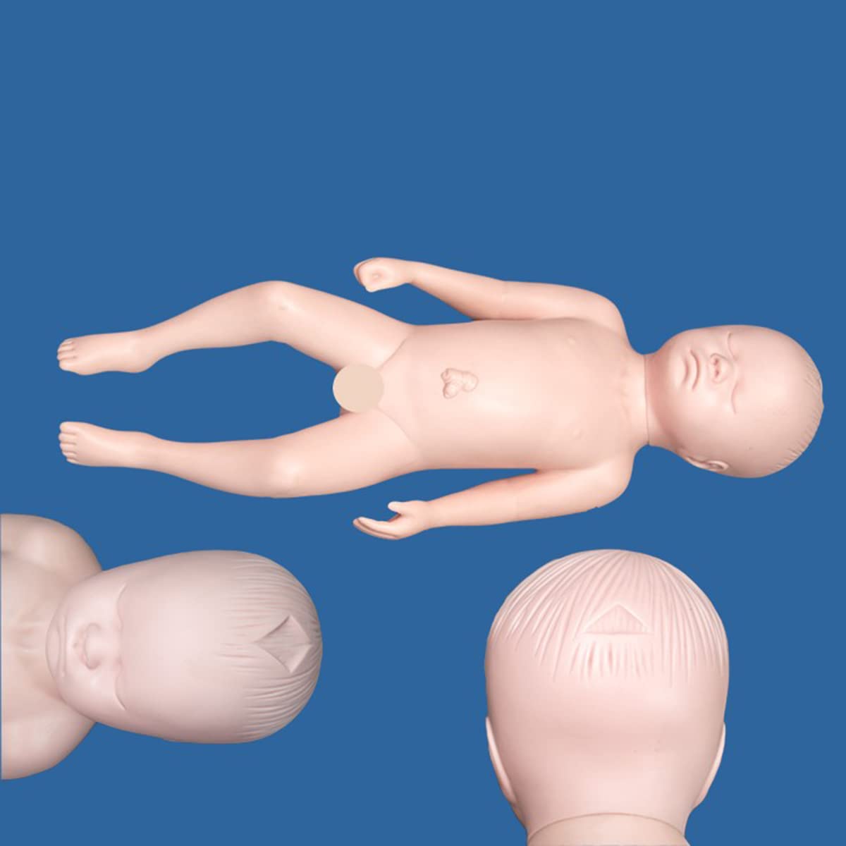 Flexibles Beckenmodell zur Geburt – Modell zur Geburt – mit Fontanelle, Baby- und Becken-Symphysis, bewegliche Sakroiliakgelenke (weiblich)