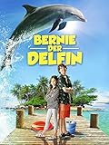  Bernie der Delfin