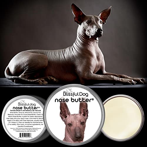 Image of The Blissful Dog Xoloitzcuintli Nose Butter - Dog Nose Butter, 1 Ounce