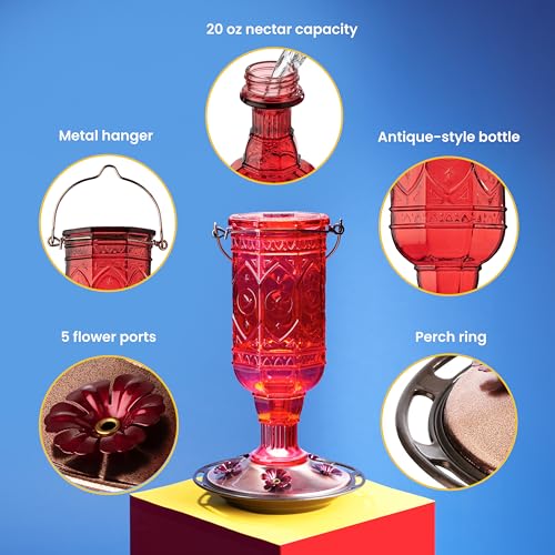 El Mejor Listado de Bebedero para colibri que Puedes Comprar On-line. 18 Imagen adicional