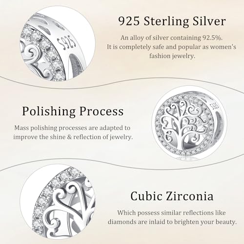 Charm de plata de ley 925 compatible con pulsera Pandora para mujer 5