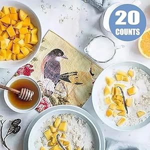 ALINK Decoupage Paper Napkins with Vintage Floral Pattern Printting Peony Birds Decorative Dinner Tea Party Shower 20 Count