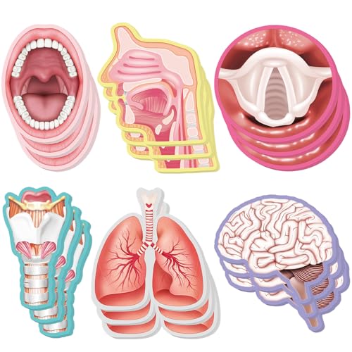 Thenshop Back to School SLP Gifts for Speech Language Pathologist 18 Pads Sticky Notes Set Teeth Mouth Cavity Brain Lungs Sticky, Speech Therapist Appreciation Gifts for Women Office Supplies