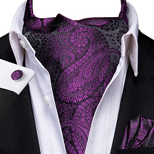 Image of Hi-Tie Ascot Lapel Pin Set Mens Cravat Ties for men Wedding Scarf Tie Party Business Formal Tuxedo,Plum Purple Paisley