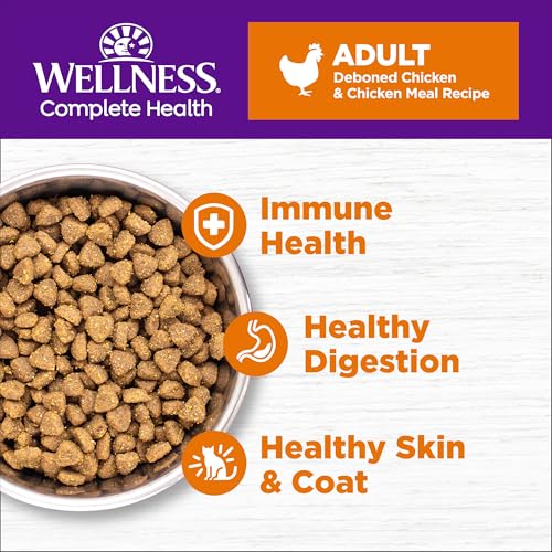 Image of Wellness Complete Health Adult Dry Cat Food, Natural, Grain Free Kibble, Chicken Recipe, 5.5 lb Bag