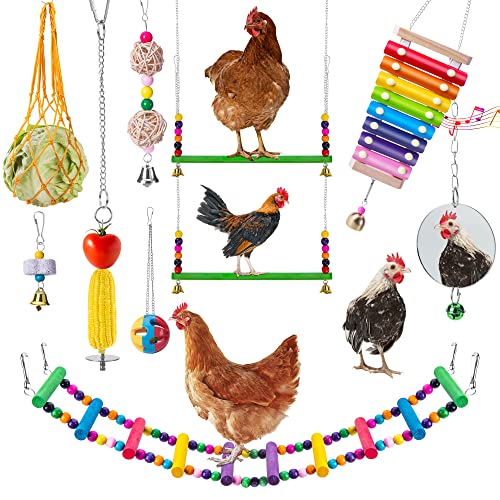 Playable Chicken Xylophone Enhance Your Backyard Coop