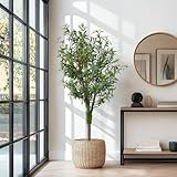BLAINE | Olivo Silvestre 150cm | Plantas Artificiales Decorativas | Planta Artificial Grande | Plantas Artificiales para Interior/Exterior | Planta Artificial Realista Decorativa para Casa