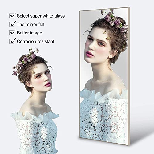 Image of NeuType Full Length Bedroom Wall-Mounted Floor Mirror with Standing Holder (Matte Champagne)