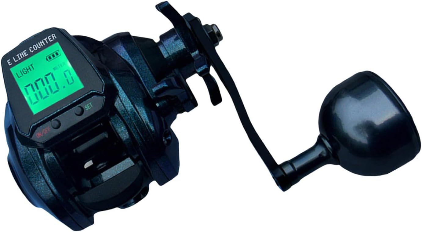 19 アオリマチック ダイワ スピニングリール(ヤエン) BR LT 泳がせ