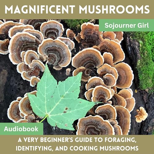 Magnificent Mushrooms by Sojourner Girl episode artwork