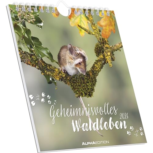 Alpha Edition - Geheimnisvolles Waldleben 2026 – Postkartenkalender 16×17 cm mit 53 Naturmotiven, FSC-zertifiziert, als Tisch- & Wandkalender nutzbar, perforierte Karten zum Verschicken & Sammeln